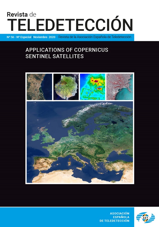 					View No. 56 (2020): Special issue: Applications of Copernicus Sentinel Satellites
				